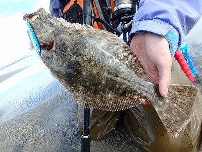 Fumi S Blog ブルーオリオンでのヒラメ釣り 宮城県仙台圏エリア