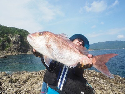 Fumi S Blog もしも こんなマダイが釣れたなら