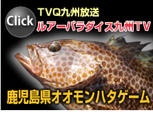 TVQ九州放送 ルアーパラダイス九州TV 鹿児島オオモンハタゲーム